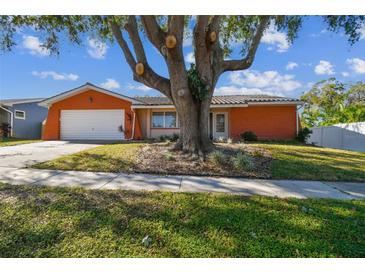 Charming ranch home with a large tree and spacious yard at 465 Meadowlark Ln, Palm Harbor, FL 34683
