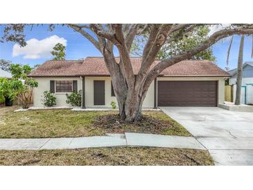 Single-story home with brown garage door and large tree in front at 1310 Mandarin Dr, Holiday, FL 34691