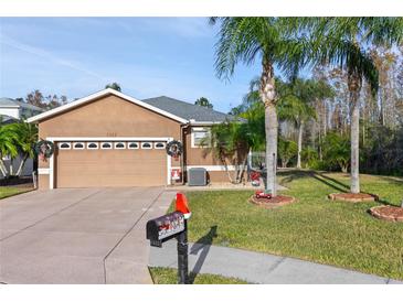 Tan house with two-car garage, palm trees, and well-manicured lawn at 8432 Tarocco Ct, Land O Lakes, FL 34637