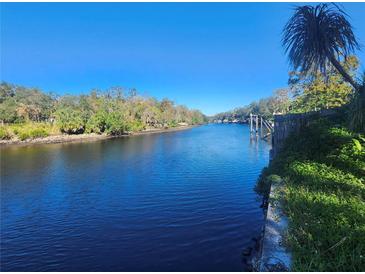 Scenic view of a tranquil canal, lush vegetation, and a clear blue sky at 7222 N Ola Ave, Tampa, FL 33604