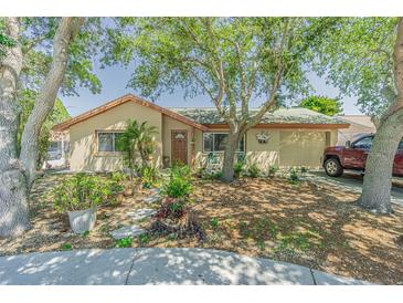 Tan house with brown roof, landscaping, and driveway at 3049 Moog Rd, Holiday, FL 34691