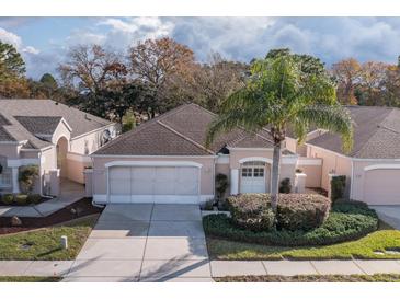 Tan house with a two car garage and palm tree at 390 Royal Palm Way, Spring Hill, FL 34608