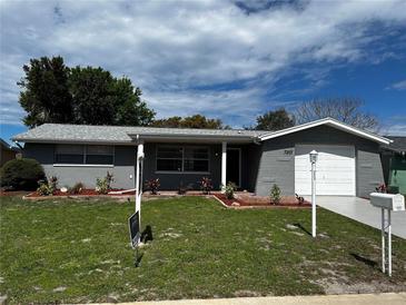 Charming single-story home featuring a well-manicured lawn and fresh exterior paint at 7207 Nova Scotia Dr, Port Richey, FL 34668