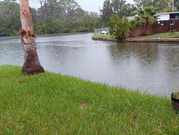 Waterfront lot with lush grass and a serene canal view, showcasing the property's appealing outdoor setting at 5029 Osprey Ln, New Port Richey, FL 34652