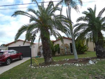 Charming single-story home with mature palm trees and a well-maintained front yard at 7308 Mako Dr, Hudson, FL 34667