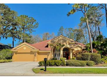 Charming single-story home with a well-manicured front yard, beautiful landscaping, and a two-car garage at 2806 Grey Oaks Blvd, Tarpon Springs, FL 34688