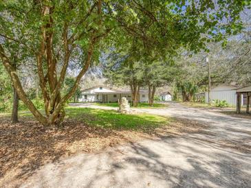 Charming single-story home featuring a spacious front yard and mature trees providing ample shade and curb appeal at 14821 Sassandra Dr, Odessa, FL 33556