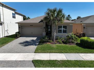 Charming single-story home with a well-manicured lawn, brick driveway, and a two-car garage at 3060 Mountain Spruce Ter, Wesley Chapel, FL 33543