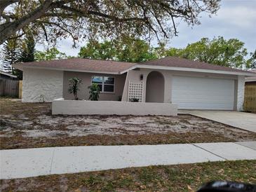 Charming single-story home featuring neutral tones, a two-car garage, and a well-maintained front yard at 2628 Wildwood Ln, Palm Harbor, FL 34684