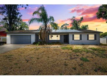 Charming single-story home with a palm tree and a two-car garage at sunset at 2608 W Fletcher Ave, Tampa, FL 33618
