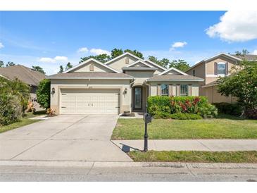 Charming single-story home featuring a manicured lawn, a two-car garage, and inviting curb appeal at 1250 Halapa Way, Trinity, FL 34655
