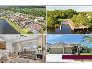 Property collage featuring the exterior, dock, and interior spaces of this beautiful property at 1709 Nodding Thistle Dr, New Port Richey, FL 34655