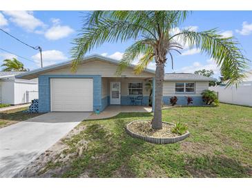 Charming single-story home with blue accents, front lawn, and mature palm tree at 13700 Allyn Dr, Hudson, FL 34667