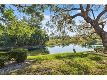 Scenic view of a tranquil pond surrounded by lush greenery and a mature tree at 7522 Heather Walk Dr, Weeki Wachee, FL 34613