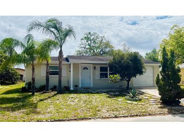 Charming single-story home with well-maintained lawn, palm trees, and inviting front entrance at 9136 Mark Twain Ln, Port Richey, FL 34668