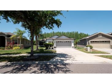 Charming single story home featuring a well-maintained lawn and two-car garage at 3593 Gerrads Cross Ct, Land O Lakes, FL 34638