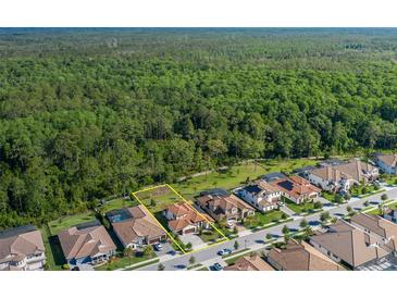 Aerial view of a homesite backing to a lush green preserve at 5070 Night Star Trl, Odessa, FL 33556