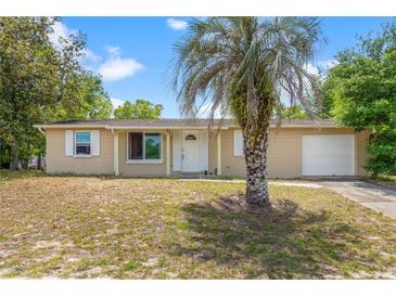 Charming single-story home featuring a well-kept lawn and a mature palm tree in the front yard at 9640 Northcliffe Blvd, Spring Hill, FL 34608