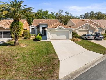 Charming single-story home with a well-manicured lawn, mature palm tree, and a two-car garage at 9355 French Quarters Cir, Weeki Wachee, FL 34613