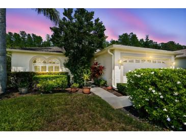 Charming single-Gathering home featuring a well-manicured lawn, lush landscaping, and a two-car garage at 1119 Dustan Pl, Trinity, FL 34655