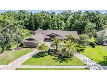 Expansive home with lush landscaping, mature palm trees, and paver driveway at 663 Turnberry Ct, Tarpon Springs, FL 34688