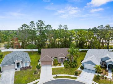 Charming single-story home featuring a well-maintained lawn and lush landscaping in a quiet neighborhood at 11443 Marsh Creek Ct, New Port Richey, FL 34654