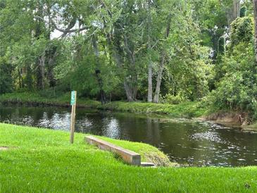Scenic view of the pond with lush greenery and trees, offering a serene and natural setting at 4903 Myrtle Oak Dr # 12, New Port Richey, FL 34653