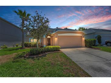 Charming single-Gathering home features a well-manicured lawn and a two-car garage against a colorful sunset sky at 10344 Tecoma Dr, Trinity, FL 34655