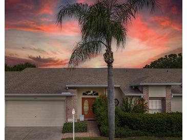 Charming one story home featuring a double door entrance, a brick facade and a palm tree at 1105 Flora Vista St, New Port Richey, FL 34655