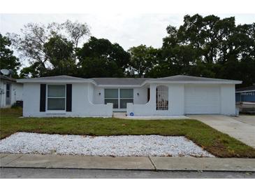 Charming single-story home with white exterior, well-maintained landscaping, and an attached garage at 9116 Gray Fox Ln, Port Richey, FL 34668