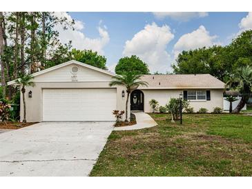 Charming single-story home featuring a two-car garage, well-maintained lawn, and inviting front entrance at 22154 Weeks Blvd, Land O Lakes, FL 34639