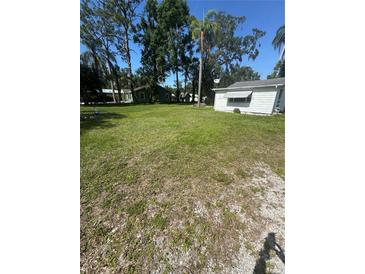 Spacious yard with mature trees and lush green grass, perfect for outdoor activities at 410 Houle Ave, Sarasota, FL 34232