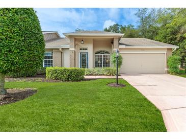 Charming single-story home featuring a well-manicured lawn and a two-car garage at 7392 Willow Brook Dr, Spring Hill, FL 34606