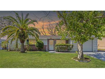 Charming single-story home with a well-manicured lawn, lush landscaping, and beautiful palm tree at 7810 Chalafonte Dr, Port Richey, FL 34668