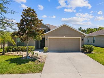 Charming single-story home with a two-car garage, landscaped front yard, and mature magnolia tree at 10120 Ives Loop, Hudson, FL 34667
