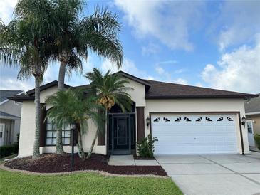 Charming single-story home featuring a well-manicured lawn and mature palm trees at 11520 Lounds Ct, New Port Richey, FL 34654