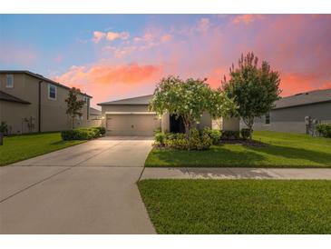 Charming single-story home features a well-manicured lawn and inviting curb appeal against a beautiful sunset backdrop at 12313 Criollo Rd, Spring Hill, FL 34610