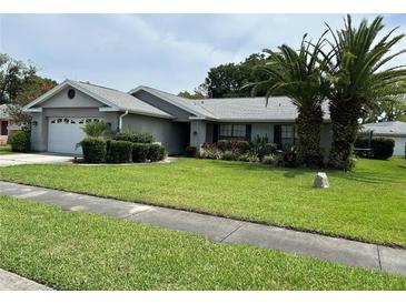 Charming single-story home featuring a well-manicured lawn and beautiful landscaping, including mature palm trees at 13316 Brigham Ln, Hudson, FL 34667