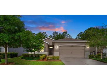Charming single-Gathering home featuring a well-maintained lawn, mature trees, and neutral exterior paint at dusk at 17843 Garsalaso Cir, Brooksville, FL 34604