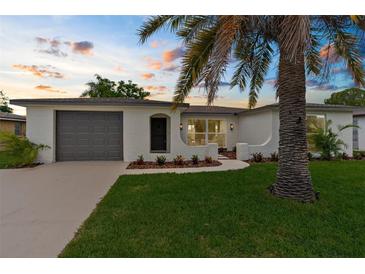 Charming single-story home with a well-manicured lawn, tidy landscaping, and attached garage at 10224 Old Orchard Ln, Port Richey, FL 34668
