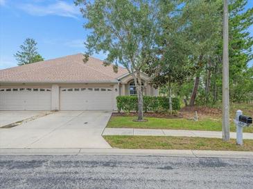 Charming single-story home with a three-car garage, tidy landscaping, and a well-maintained lawn at 13049 Moonstone Way, Spring Hill, FL 34609