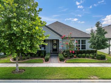 Charming single-story home with manicured landscaping and a welcoming front entrance, embodying suburban curb appeal at 3885 Villamore Ln, Odessa, FL 33556