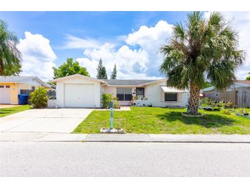 Charming single-story home featuring a one-car garage, mature landscaping, and a well-manicured lawn at 9134 Crabtree Ln, Port Richey, FL 34668