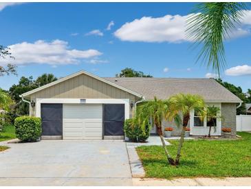 Charming single-story home featuring a two-car garage and a beautifully landscaped front yard with palm trees at 3204 Payne St, New Port Richey, FL 34655