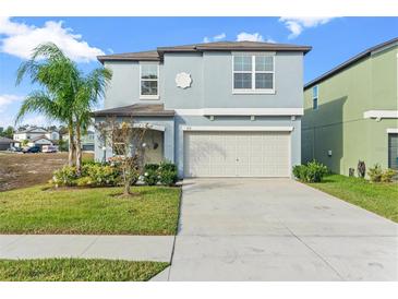 Charming two-story home featuring a two-car garage, well-maintained lawn, and complemented by a beautiful palm tree at 313 Argyll Dr, Spring Hill, FL 34609