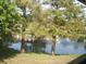 View of a tranquil lake with lush trees at 4450 47Th W Ave # 202, Bradenton, FL 34210