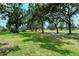Landscaped backyard with mature trees and golf course views at 7812 Broadmoor Pines Blvd, Sarasota, FL 34243