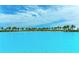 Expansive crystal lagoon with palm trees and sandy beach at 6009 White Mangrove Ln, Bradenton, FL 34210