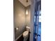 Small powder room with toilet and updated fixtures at 11420 Captiva Kay Dr, Riverview, FL 33569