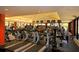 Fitness center with modern cardio and weight equipment at 12327 Thornhill Ct, Lakewood Ranch, FL 34202